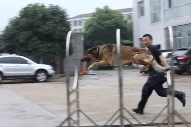 为什么篮球教练的经验对球员发展至关重要_2
